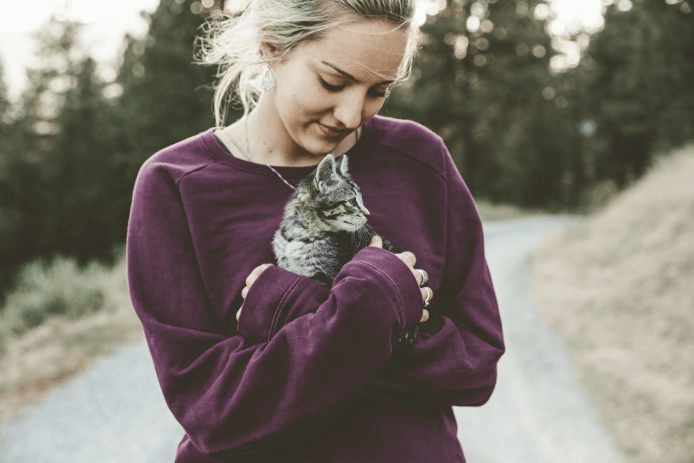 Cozy Kitten - FoMA Pets
