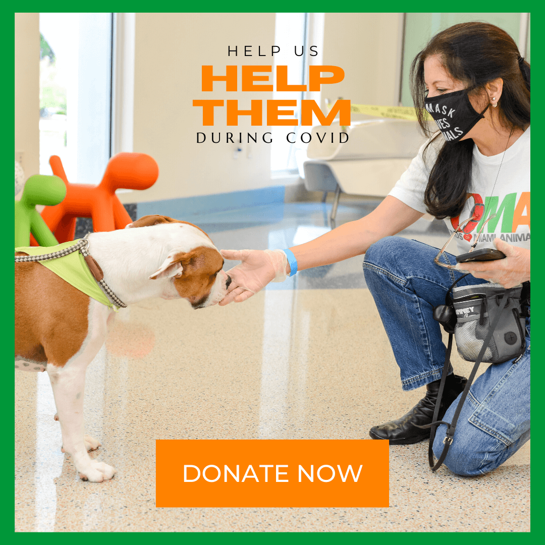 Help Us Help Them - FoMA Pets