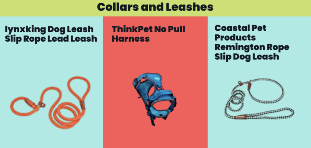 Collars and Leashes - FoMA Pets