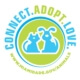 Virtual Adoption Events For Dogs - FoMA